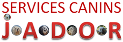 Education canine, agility, club canin Annecy - Services Canins Jâ€¢Aâ€¢Dâ€¢Oâ€¢R
