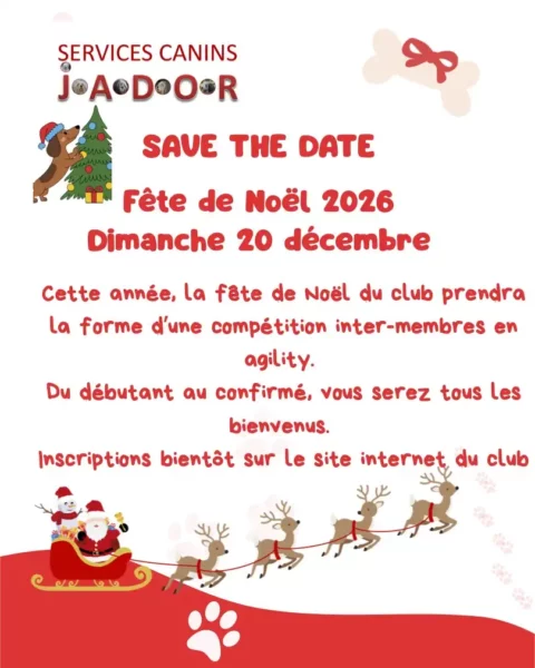 éducateur canin Annecy - rencontre noel 2026